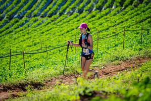 BIB: 
                            <button type="button" onclick="openModal(19161890)" class="btn btn-primary btn-sm float-right btn-popup" data-toggle="modal" data-target=".modal-high-quality">
                        <i class="fas fa-shopping-cart"></i> Add to Cart
                    </button>
                                            <button type="button" onclick="isThisMe(19161890, true)" class="btn btn-success btn-sm float-right btn-popup btn-isme hidden" data-toggle="tooltip" data-placement="bottom" title="นี่คือรูปของคุณใช่ไหม คลิกที่นี่เพื่อเอาเข้าอัลบั้ม">
                        <i class="fas fa-plus"></i> Add to album
                    </button>
                    <button type="button" onclick="isThisMe(19161890, false)" class="btn btn-warning btn-sm float-right btn-popup btn-isnotme hidden">
                        <i class="fas fa-ban"></i> Remove from album
                    </button>